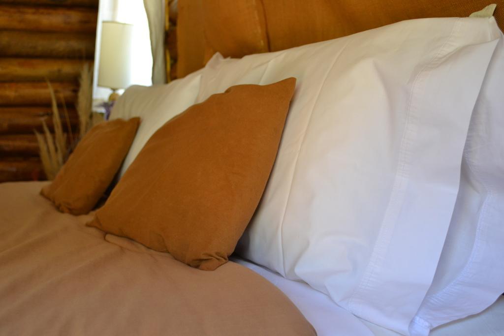 Villa Mendoza Sol Y Nieve à Potrerillos Chambre photo