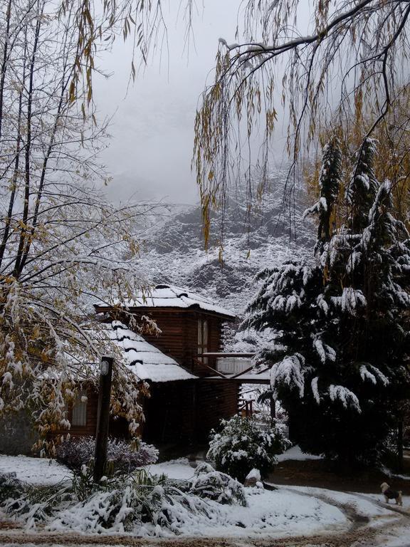 Villa Mendoza Sol Y Nieve à Potrerillos Extérieur photo